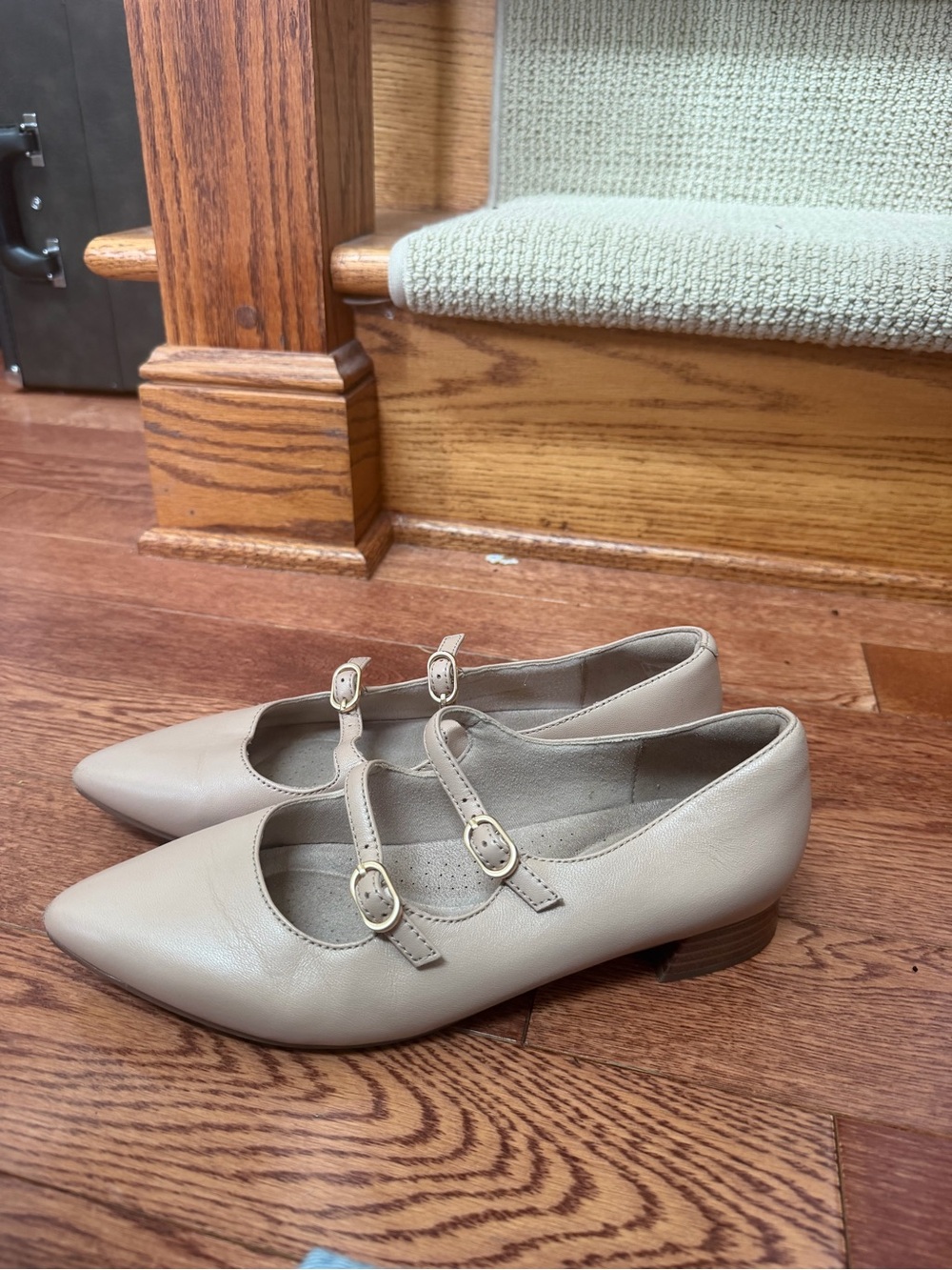 Clarks Double-Strap Pointed Toe Flats in Light Taupe